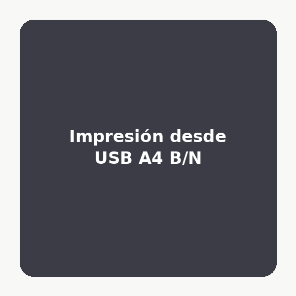 Impresión desde USB A4 B/N